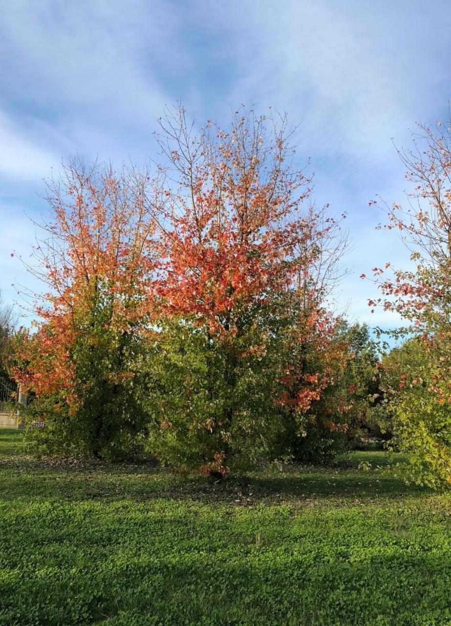 Farm stay Cascina San Giorgio Valenza