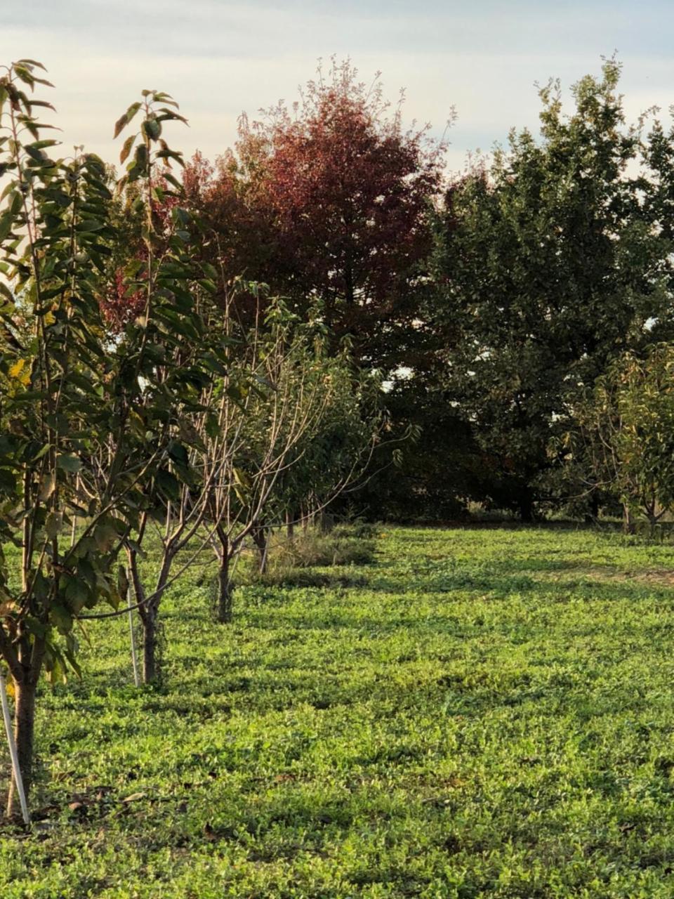 Farm stay Cascina San Giorgio Valenza