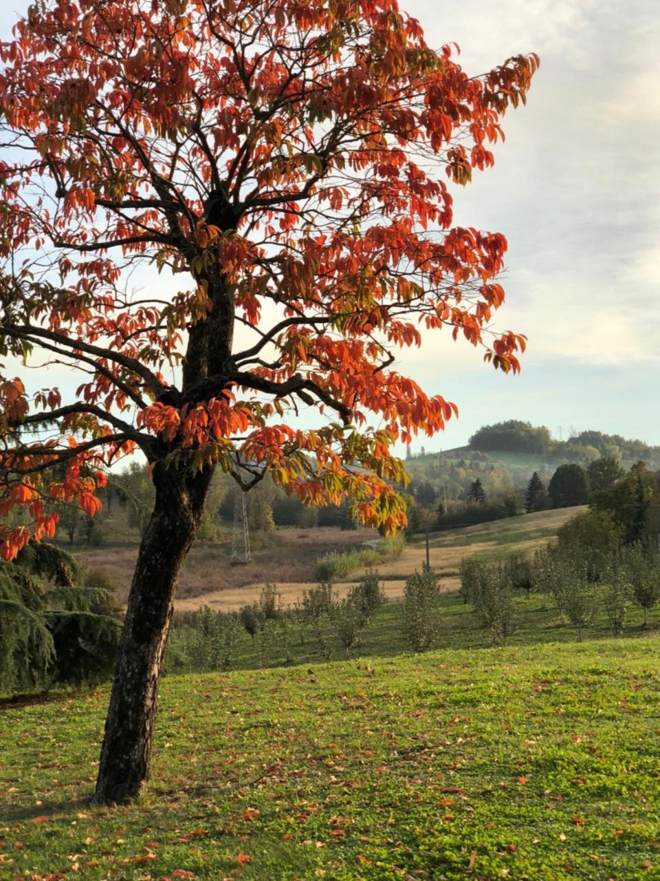 Cascina San Giorgio Farm stay